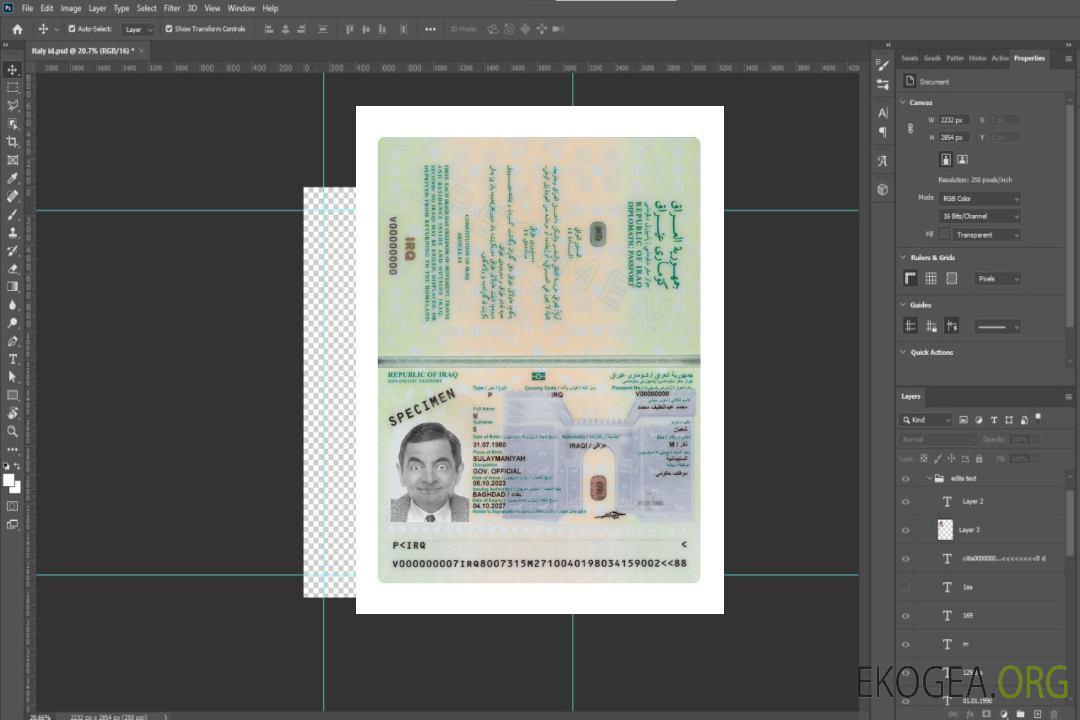 Passeport irakien 2023-présent template Passeport irakien 2023-présent template